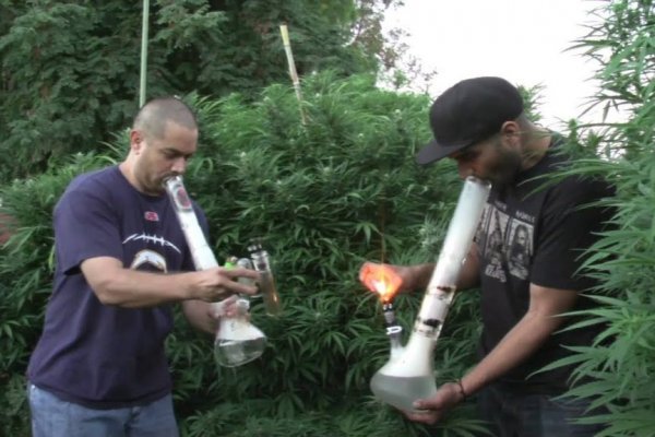 Dark net официальный сайт