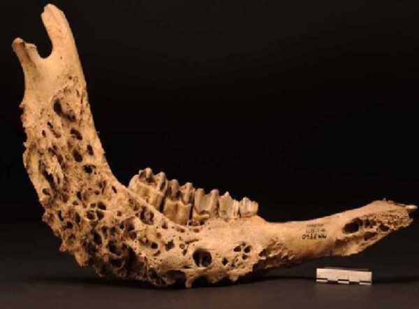 Магазин кракен как попасть