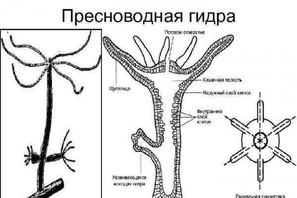 Что такое кракен магазин